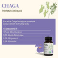 French Mush compléments alimentaires à base d'extraits de champignons médicinaux biologiques fabriqués en France Complexe 5 Template (Copy) - gélules -