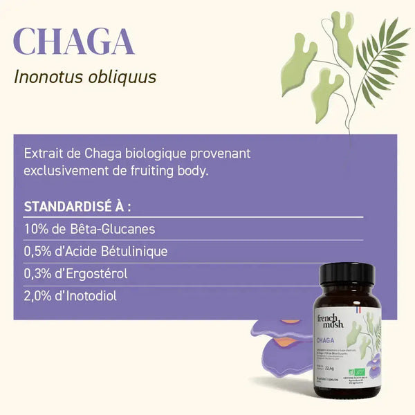 French Mush compléments alimentaires à base d'extraits de champignons médicinaux biologiques fabriqués en France Complexe 5 Template (Copy) - gélules -
