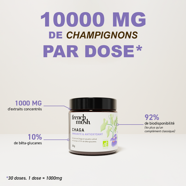 French Mush compléments alimentaires à base d'extraits de champignons médicinaux biologiques fabriqués en France - 1000mg d'extraits concentrés par dose  - Chaga