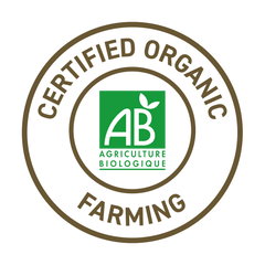 French Mush compléments alimentaires à base d'extraits de champignons médicinaux biologiques fabriqués en France - abonnement sur-mesure -AB