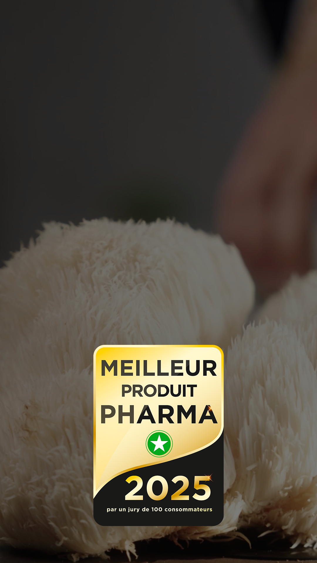 French Mush complements alimentaires a base d'extraits de champignons bio - lion's mane - concentration focus mémoire