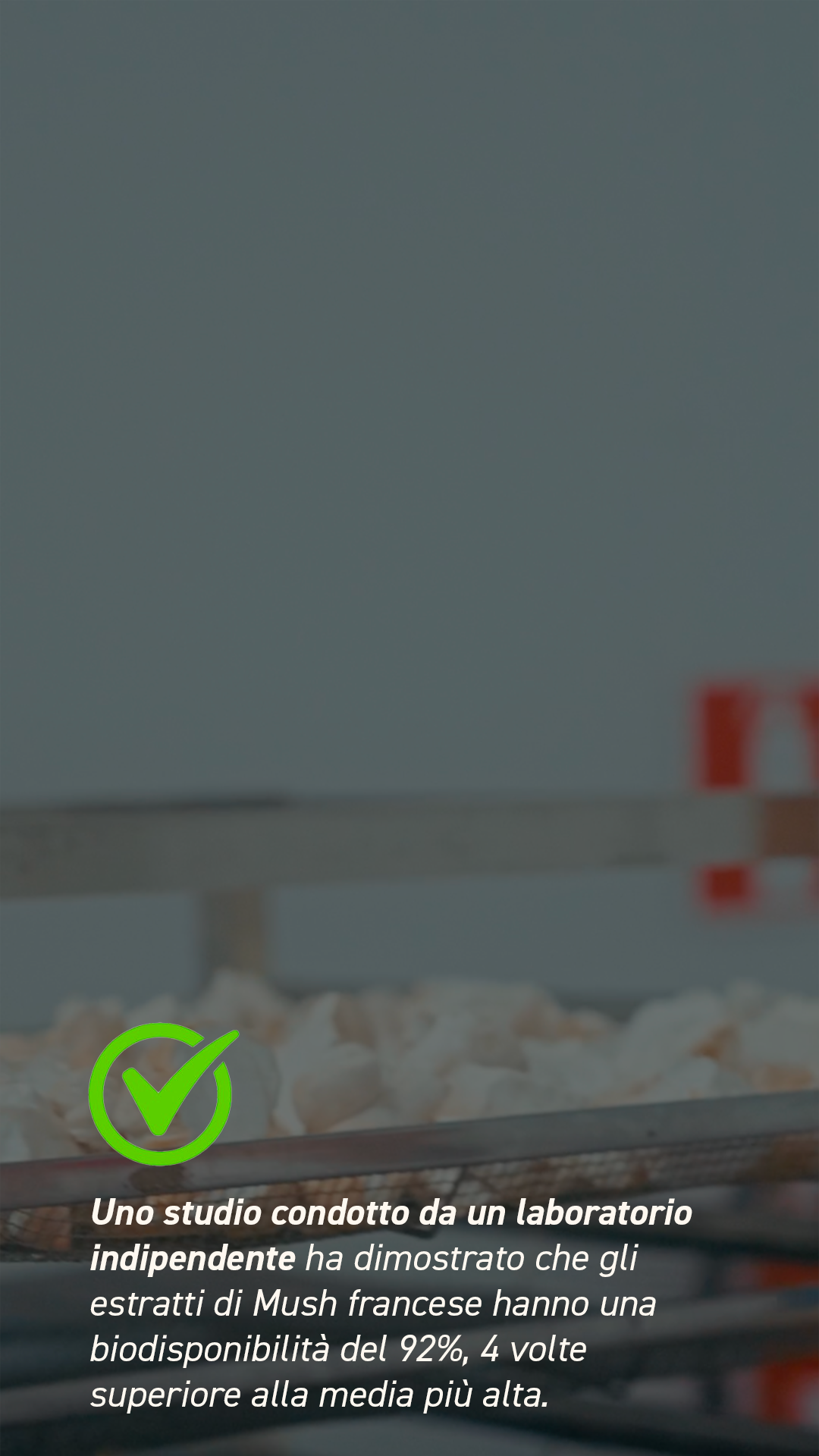 French Mush integratori alimentari a base di funghi medicinali biologici