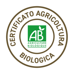 French Mush compléments alimentaires à base d'extraits de champignons médicinaux biologiques fabriqués en France - abonnement sur-mesure -AB
