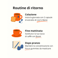 French Mush integratori alimentari a base di estratti di funghi medicinali biologici prodotti in Francia