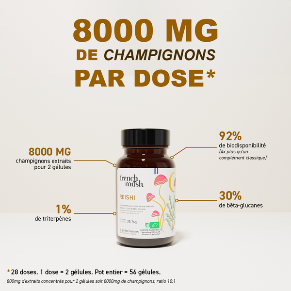 French Mush compléments alimentaires à base d'extraits de champignons médicinaux biologiques fabriqués en France - 800mg d'extraits concentrés par dose - Reishi