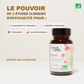 French Mush compléments alimentaires à base d'extraits de champignons médicinaux biologiques fabriqués en France - extraction aux ultrasons - Reishi