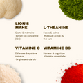 French Mush compléments alimentaires à base d'extraits de champignons médicinaux biologiques fabriqués en France Gummies Focus (VIP) - gummies -