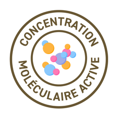 French Mush compléments alimentaires à base d'extraits de champignons médicinaux biologiques fabriqués en France - abonnement sur-mesure -active_molecues