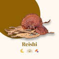 French Mush compléments alimentaires à base d'extraits de champignons médicinaux biologiques fabriqués en France Le Reishi - gélules -