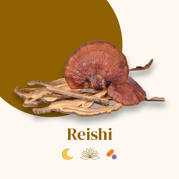 French Mush compléments alimentaires à base d'extraits de champignons médicinaux biologiques fabriqués en France Le Reishi - gélules -