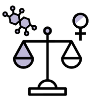 French Mush complements alimentaires a base d'extraits de champignons biologiques