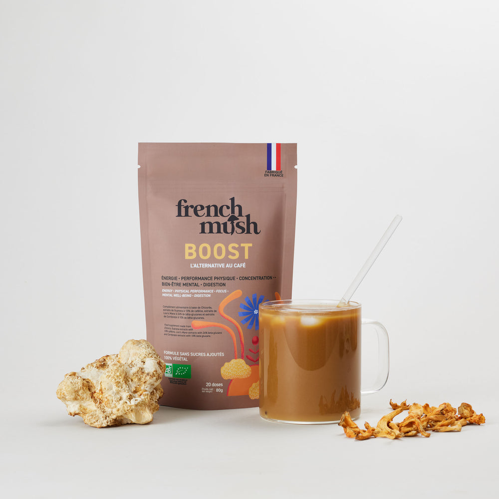 ingrédients Boost - pack de la rentrée - French Mush compléments alimentaires à base d'extraits de champignons médicinaux biologiques fabriqués en France