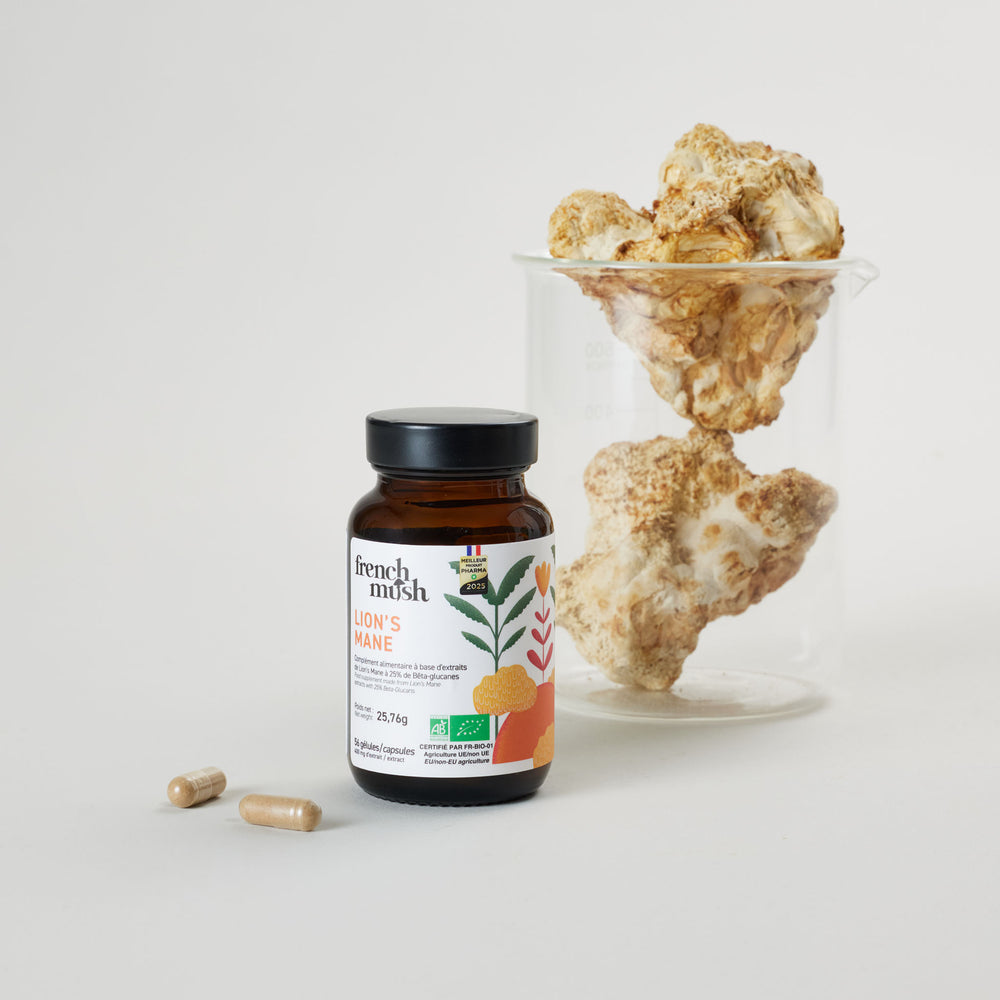 ingrédients Lion's Mane - pack de la rentrée - French Mush compléments alimentaires à base d'extraits de champignons médicinaux biologiques fabriqués en France