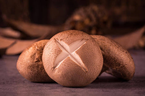 Le rôle des polysaccharides dans les champignons médicinaux : impact sur l’immunité et la santé cellulaire