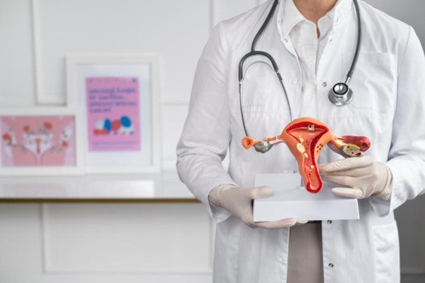 Ménopause et inflammation chronique - potentiel des extraits de champignons dans la modulation des marqueurs inflammatoires