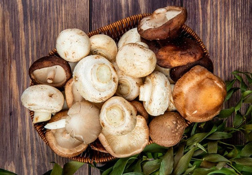 Synergie des champignons médicinaux - que dit la science sur les effets combinés dans les compléments alimentaires