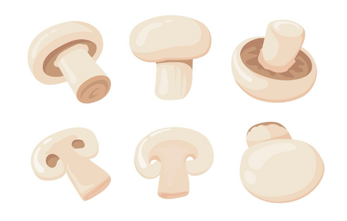 champignon ou collagene