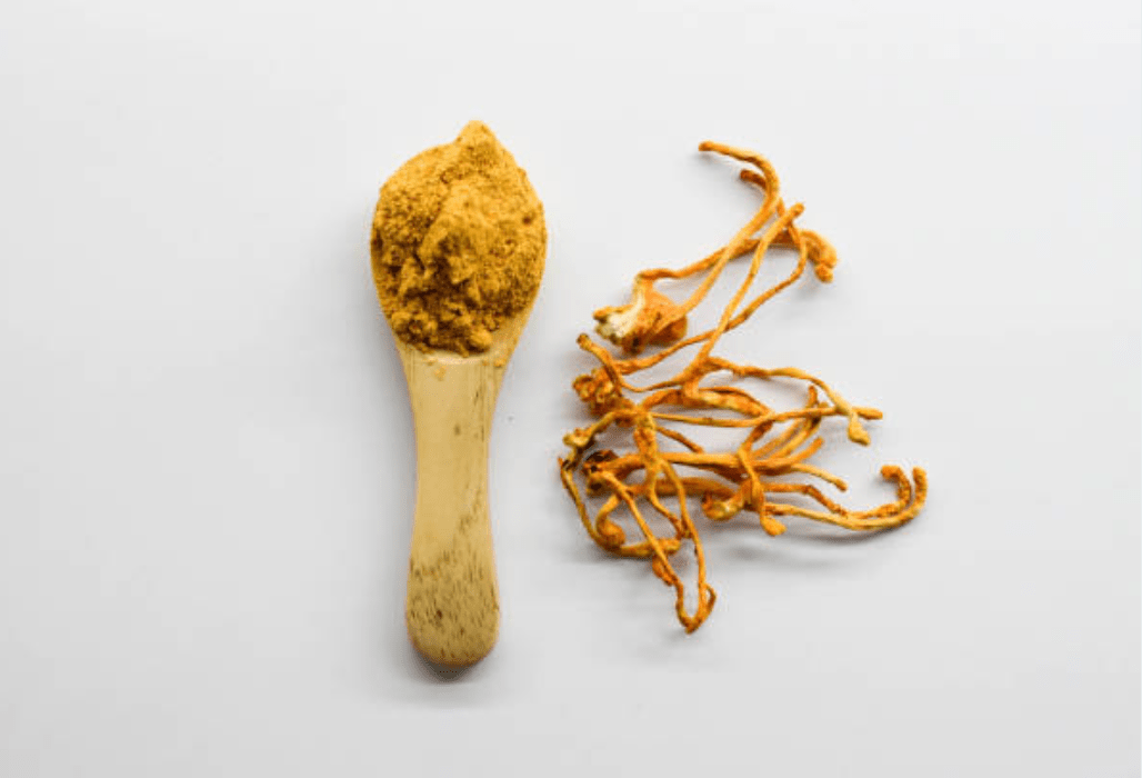 Découvrez les Bienfaits de la Poudre de Cordyceps pour la Santé - French Mush