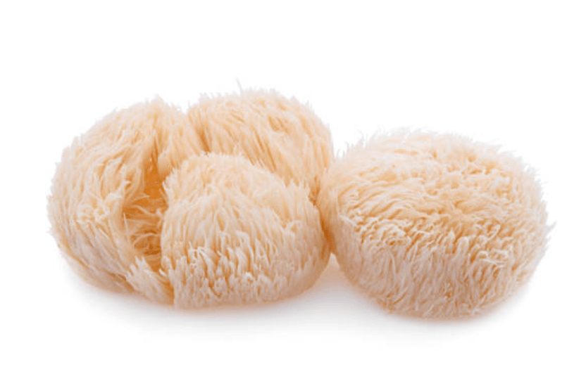 Érinacines : Qu'est-ce que c'est et d'où ça vient ? - French Mush