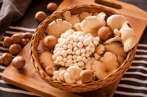 Mushroom Protocol for Perimenopause: Smoothing the Hormonal Transition