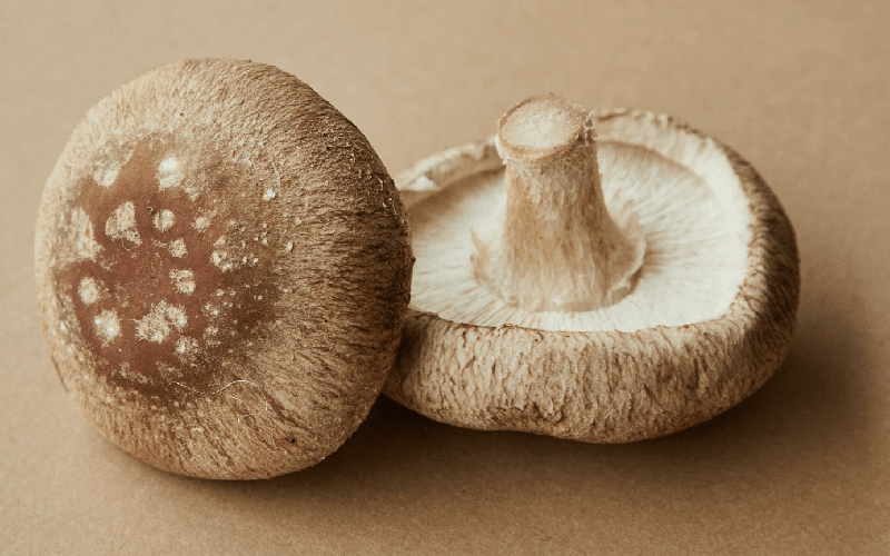 Les champignons dans la médecine traditionnelle chinoise - French Mush