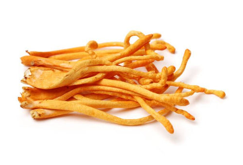 Les champignons médicinaux et le vieillissement : comment ils contribuent à la longévité - French Mush