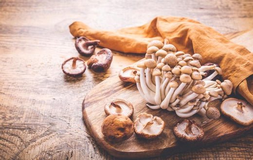 Les synergies à prendre plusieurs champignons en même temps - French Mush