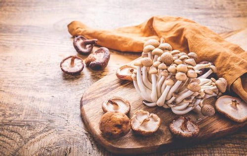 Les synergies à prendre plusieurs champignons en même temps - French Mush