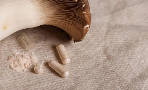 L’importance de faire une cure de 3 mois : pour des bienfaits progressifs - French Mush