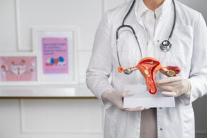 Menopausa e inflamação crónica - potencial dos extratos de cogumelos na modulação dos marcadores inflamatórios