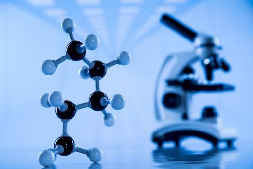 Qu’est-ce que la biodisponibilité et comment la mesurer ? 🔬 - French Mush