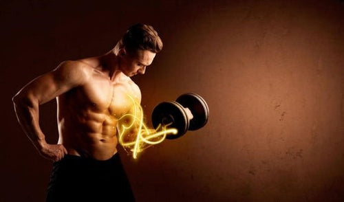 Qu'est-ce que l'ATP en biologie ? 🧬 - French Mush