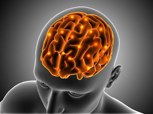 Qu’est-ce qu’un nootropique ? Définition, effets et bienfaits naturels sur le cerveau - French Mush