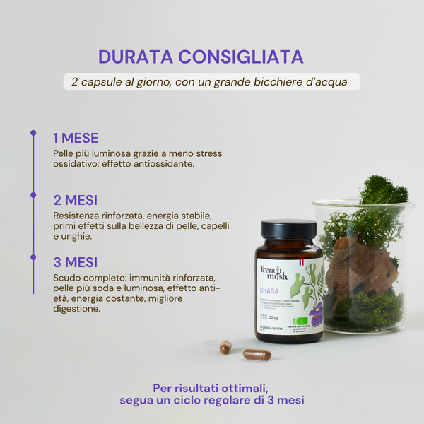 French Mush compléments alimentaires à base d'extraits de champignons médicinaux biologiques fabriqués en France -Durée de recommandation- CHAGA