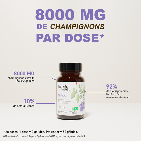 French Mush compléments alimentaires à base d'extraits de champignons médicinaux biologiques fabriqués en France - 800mg d'extraits concentrés par dose - Chaga