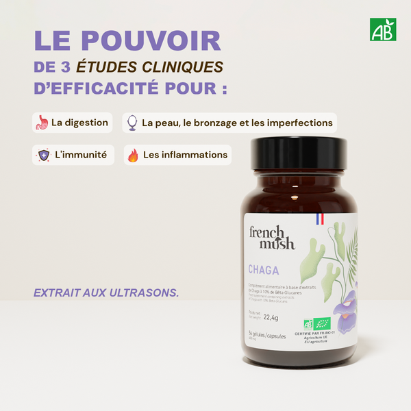 French Mush compléments alimentaires à base d'extraits de champignons médicinaux biologiques fabriqués en France - extraction aux ultrasons - Chaga
