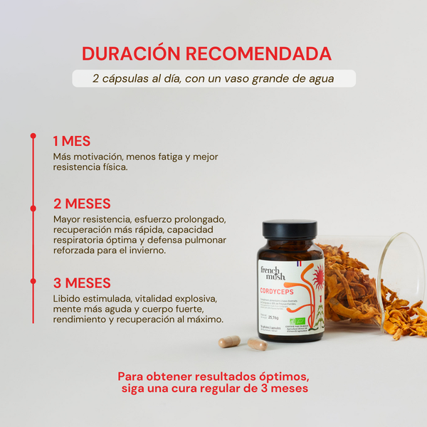 French Mush compléments alimentaires à base d'extraits de champignons médicinaux biologiques fabriqués en France -Durée de recommandation-CORDYCEPS