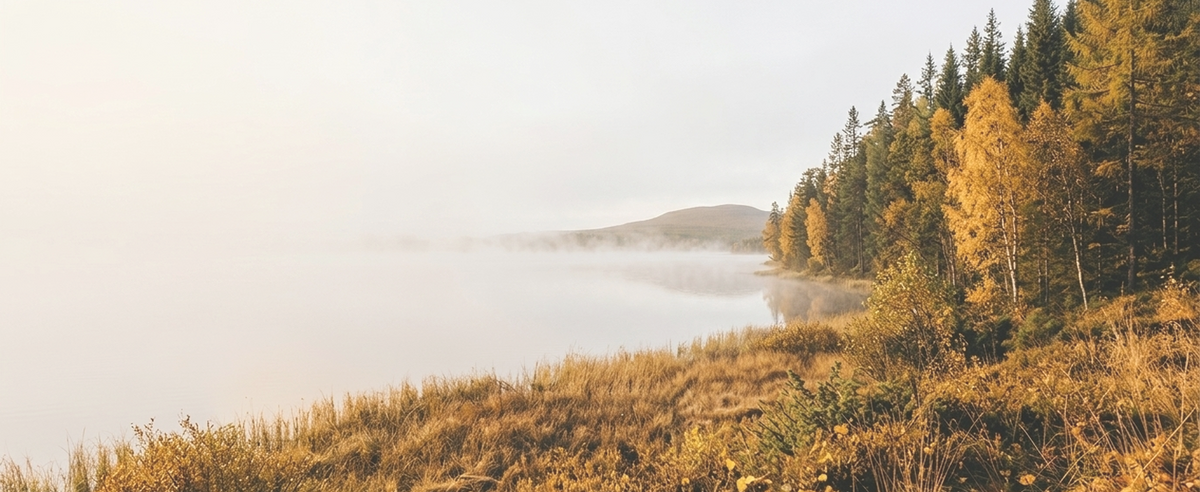 Background image desktop