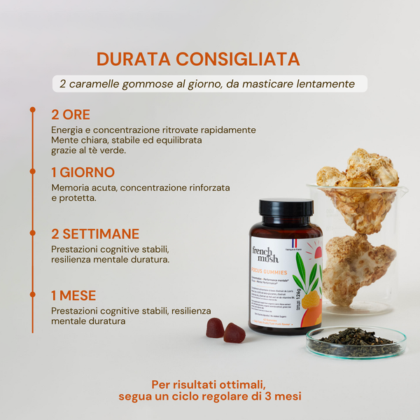 French Mush compléments alimentaires à base d'extraits de champignons médicinaux biologiques fabriqués en France -Durée de recommandation- IT-FOCUS