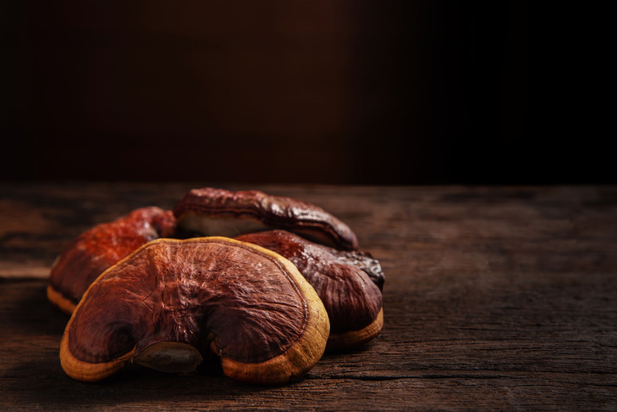 French Mush complements alimentaires a base d'extraits de champignons bio