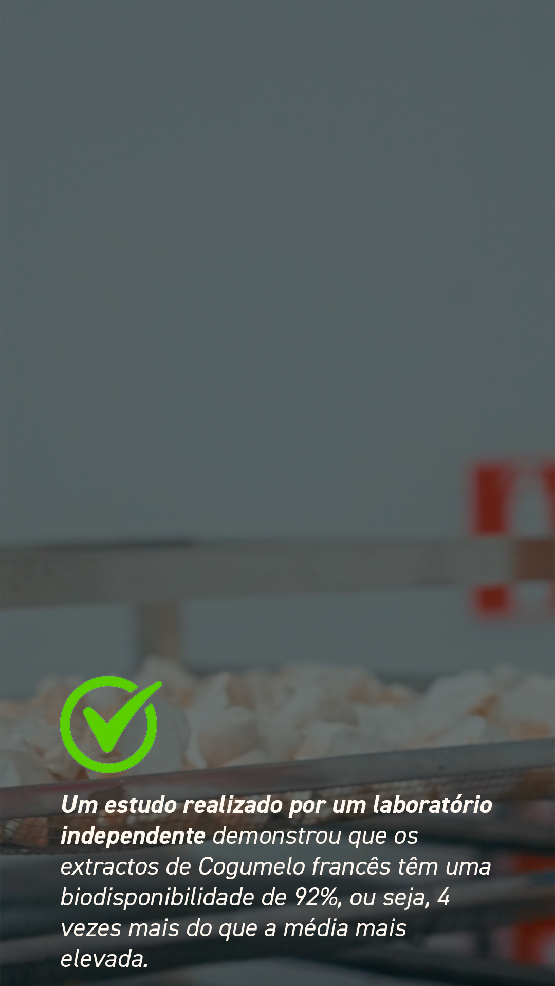 French Mush suplementos alimentares à base de cogumelos medicinais orgânicos