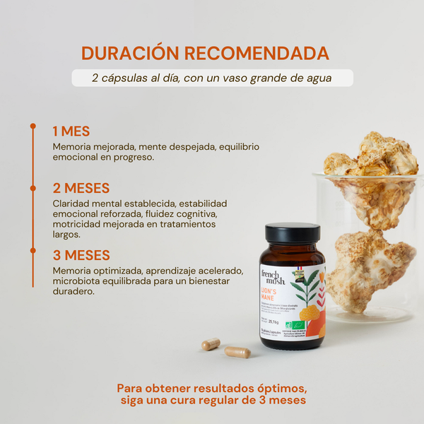 French Mush compléments alimentaires à base d'extraits de champignons médicinaux biologiques fabriqués en France -Durée de recommandation-LION_S_MANE
