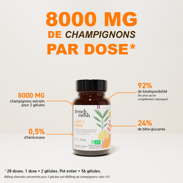 French Mush compléments alimentaires à base d'extraits de champignons médicinaux biologiques fabriqués en France - 800mg d'extraits concentrés par dose - Lion's Mane