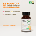 French Mush compléments alimentaires à base d'extraits de champignons médicinaux biologiques fabriqués en France - extraction aux ultrasons - Lion's Mane