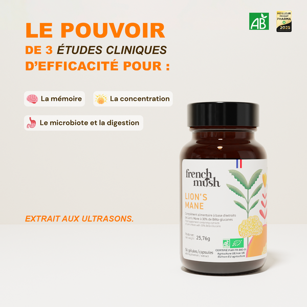 French Mush compléments alimentaires à base d'extraits de champignons médicinaux biologiques fabriqués en France - extraction aux ultrasons - Lion's Mane