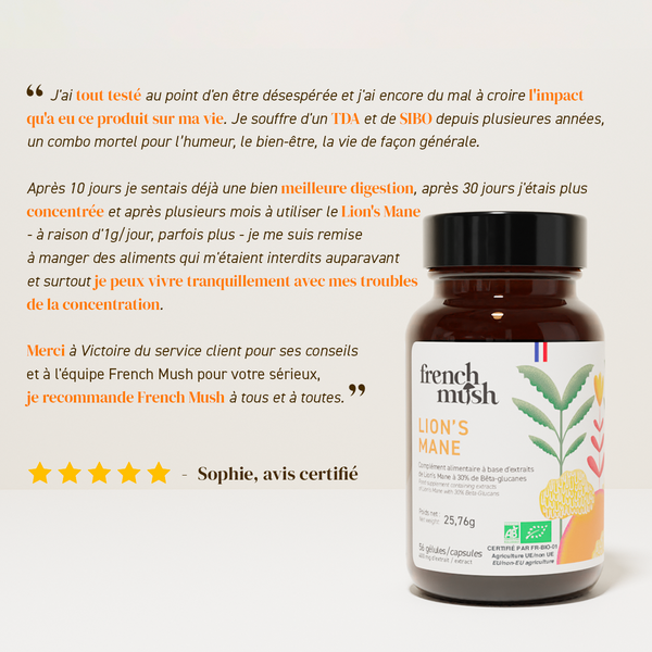 French Mush compléments alimentaires à base d'extraits de champignons médicinaux biologiques fabriqués en France - clients satisfaits avis positif - Lion's Mane