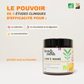 French Mush compléments alimentaires à base d'extraits de champignons médicinaux biologiques fabriqués en France - extraction aux ultrasons - Lion's Mane