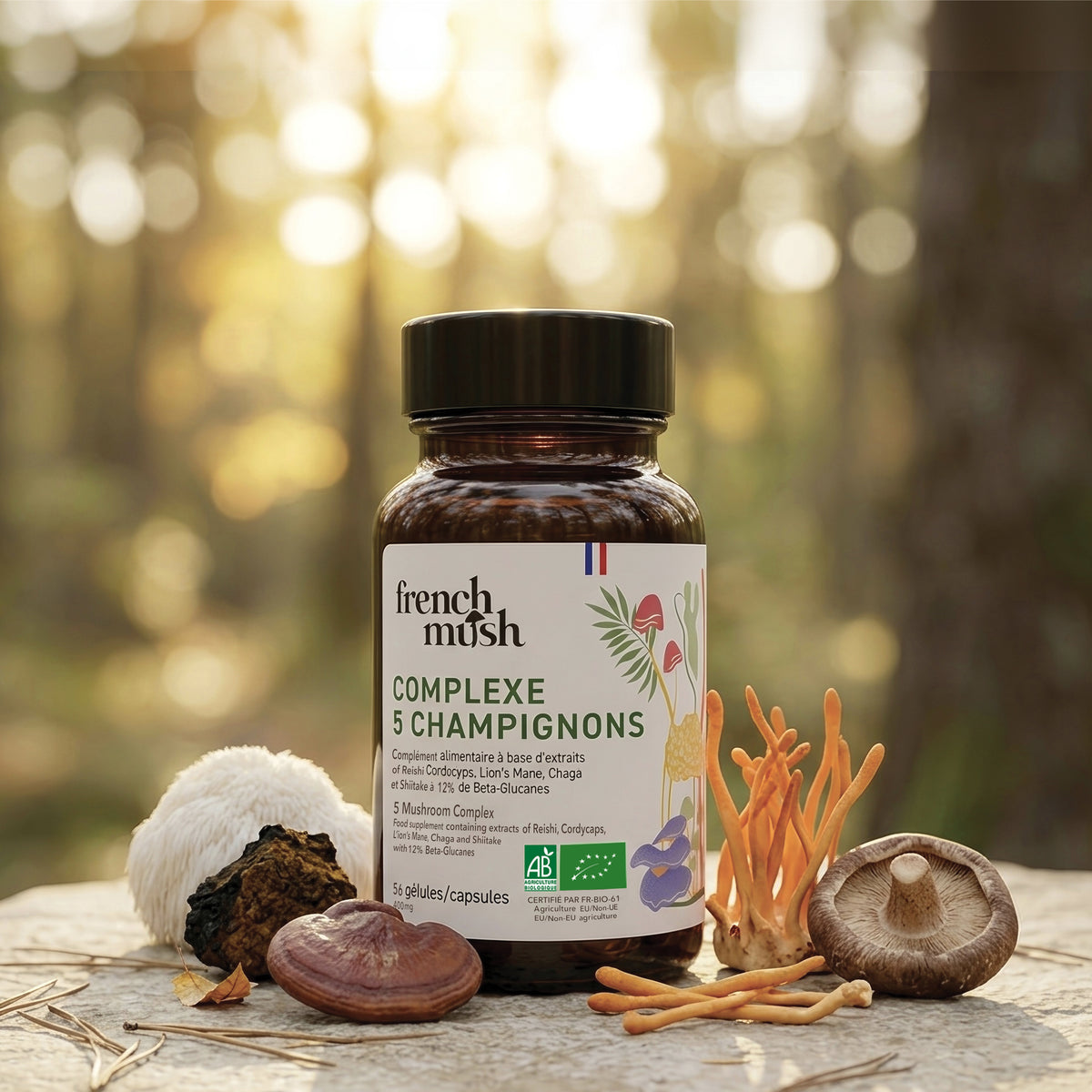 Complexe 5 Champignons Bio