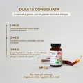 French Mush compléments alimentaires à base d'extraits de champignons médicinaux biologiques fabriqués en France - REISHI - durée recommandée
