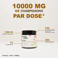 French Mush compléments alimentaires à base d'extraits de champignons médicinaux biologiques fabriqués en France - 1000mg d'extraits concentrés par dose - Reishi